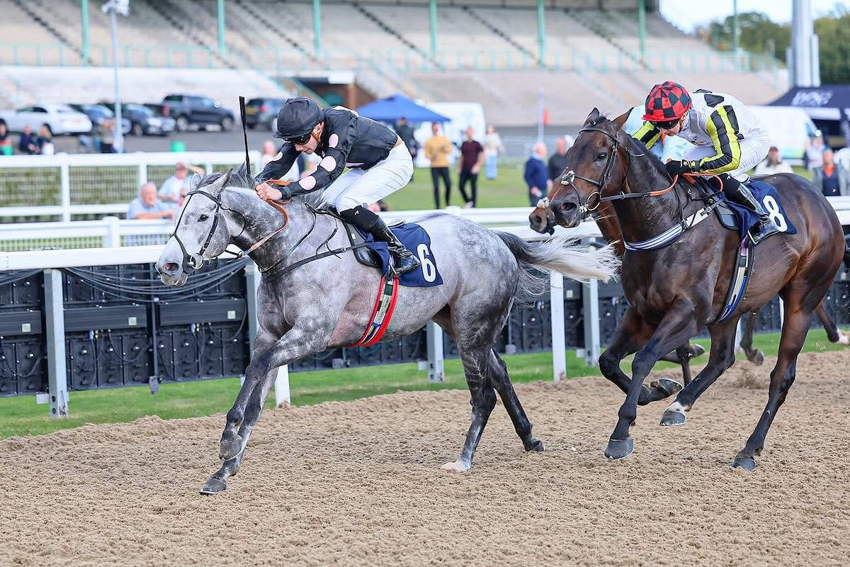 Novak Racing A Sunday Win From Novak! | Iain Jardine Racing - Where horses come first